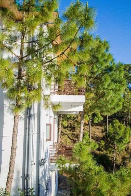Pinewood 2Bhk Cottage Kasauli Exterior photo